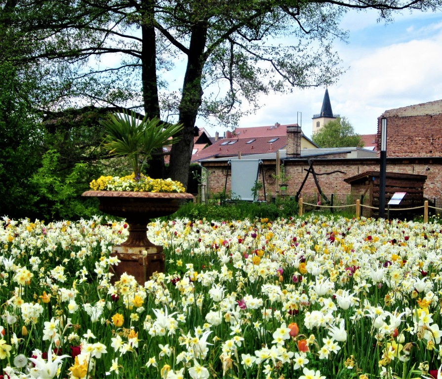 Das Gartenschaugelände grenzt unmittelbar an die Altstadt von Beelitz. Foto: Manfred Weghenkel

