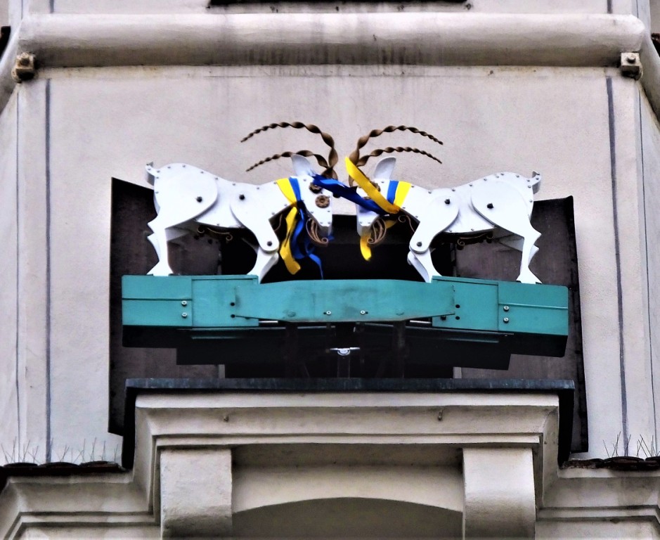 Der legendäre Ziegenbock-Kampf an der Rathausuhr. Die Tiere tragen solidarisch ukrainischfarbene Halsbänder..

