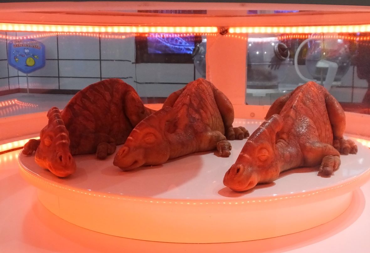 Gerade mal drei Tage alt sind diese winzigen Dinos im Inkubator (Brutkasten).
