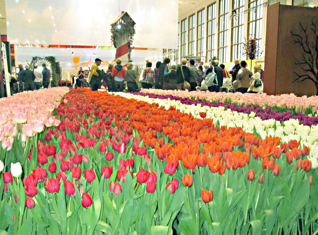 Nicht nur bei "Tulpen aus Amsterdam" - Blumenliebhaber kommen stets auf ihre Kosten.