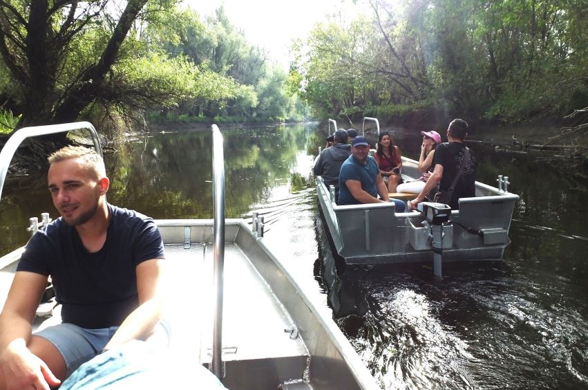 Ein besonderes Erlebnis: geführte Bootstouren im „Kopački Rit Naturpark“ 