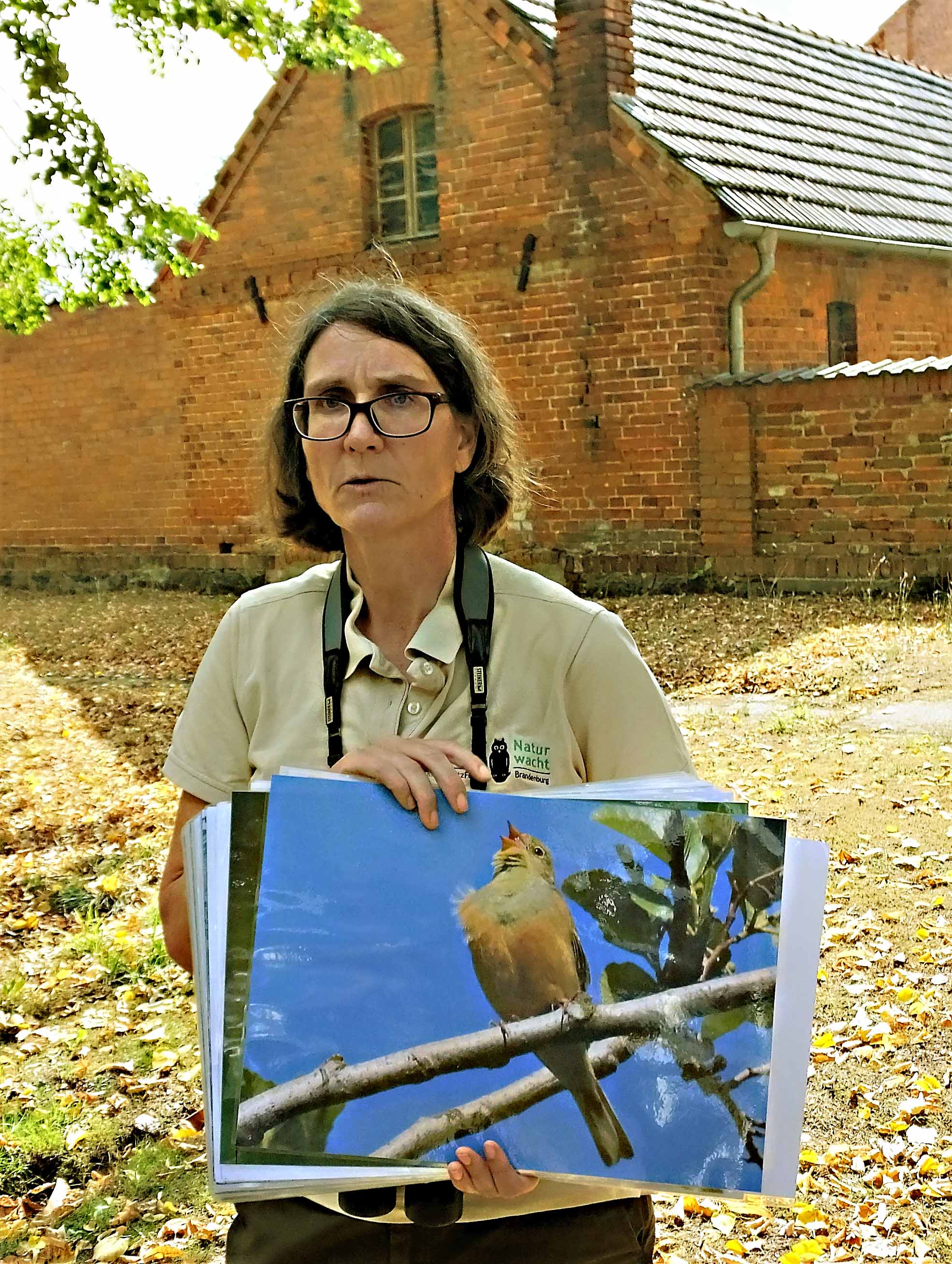 Rangerin Marion Korsch von der Naturwacht Lenzen zeigt den Besuchern des Rambower Moores auch Großfotos von seltenen Vögeln, wie z. B. vom Ortolan.